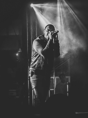 Linkin Back (c) Karsten Keller