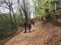 Teutoschleife in Ibbenbüren Eine Gruppe Wanderer laufen im Wald