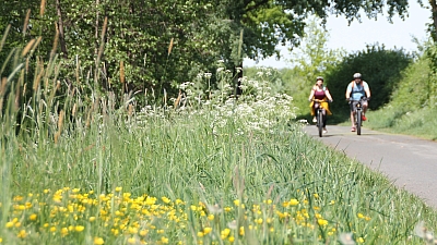 Radwegweiser am Aasee