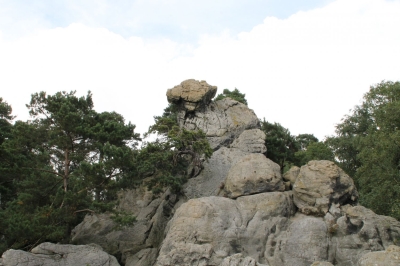 Die Felsformation Hockendes Weib in den Dörenther Klippen