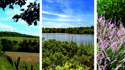 Radwegweiser am Aasee