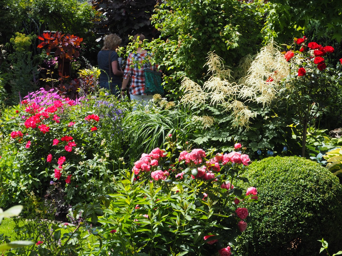 Blütenpracht in Schneiders Garten