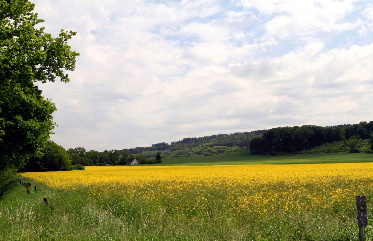 Landschaft in Hasbergen