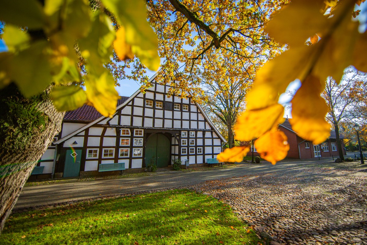 Wöhlehof_Spelle©MedienAtelierEmsland.jpg