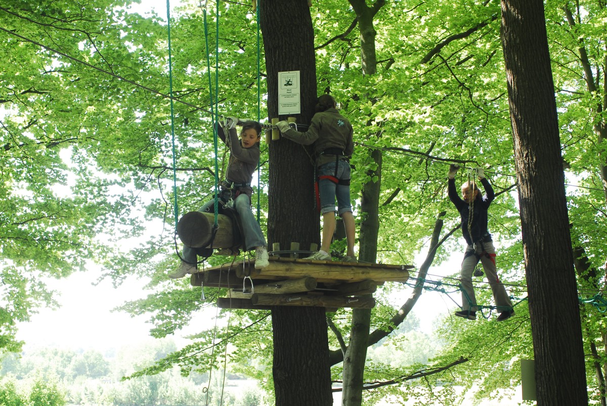 Drahtseilakt im Kletterwald