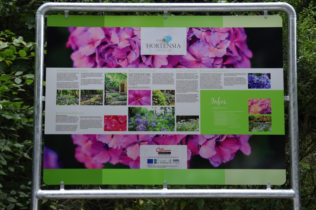 Infotafel im Hortensia Garden