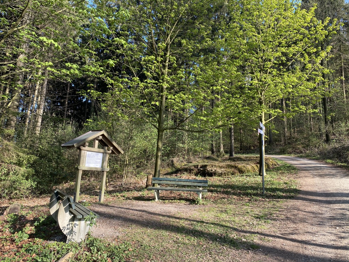 Breiter Stein Borgberg Infotafel_CC_Gemeinde Hagen aTW