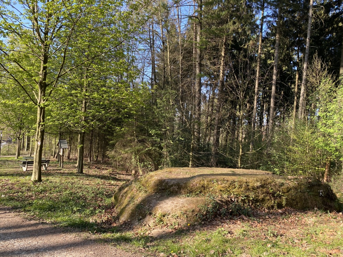 Breiter Stein Borgberg Sicht von oben_CC_Gemeinde Hagen aTW