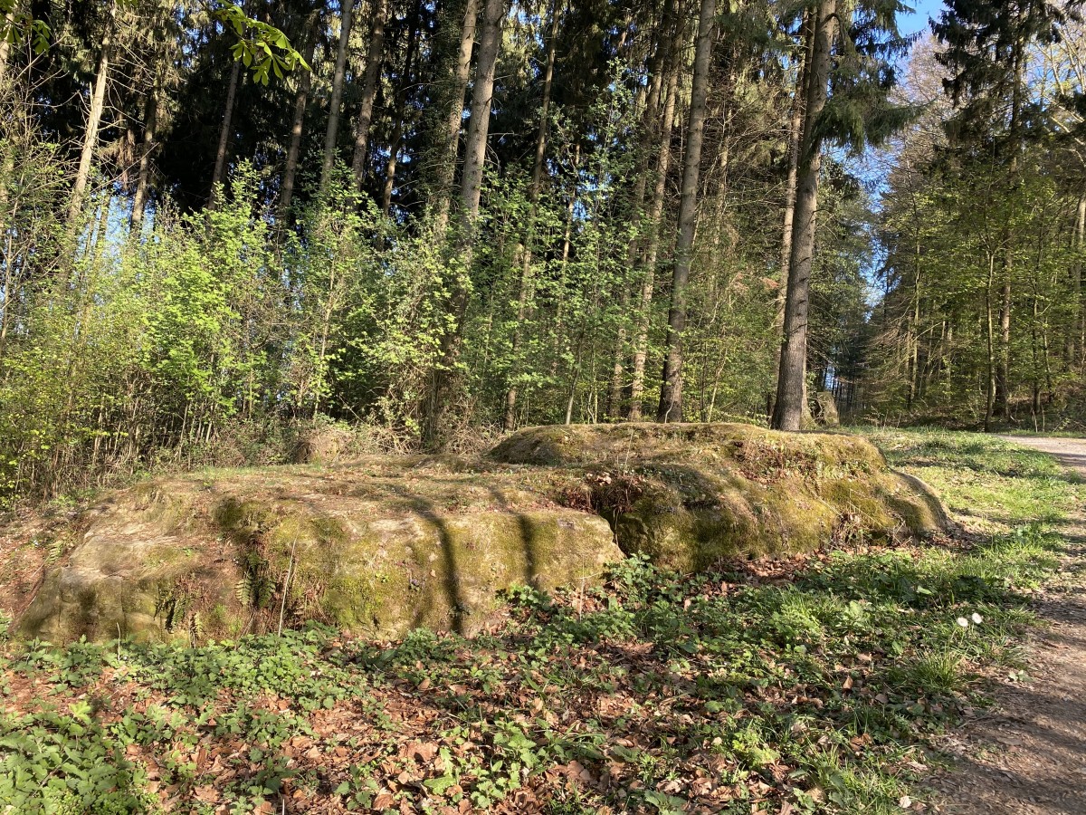 Breiter Stein Borgberg Sicht von unten_CC_Gemeinde Hagen aTW