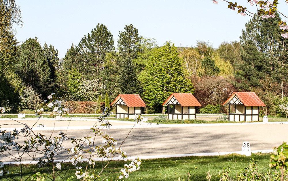 Hof Kasselmann_Dressurplatz_CC_Familie Kasselmann