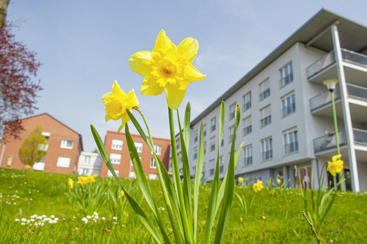 Sankt-Anna-Stift Hagen-aTW, Foto Rupert Woehrmann