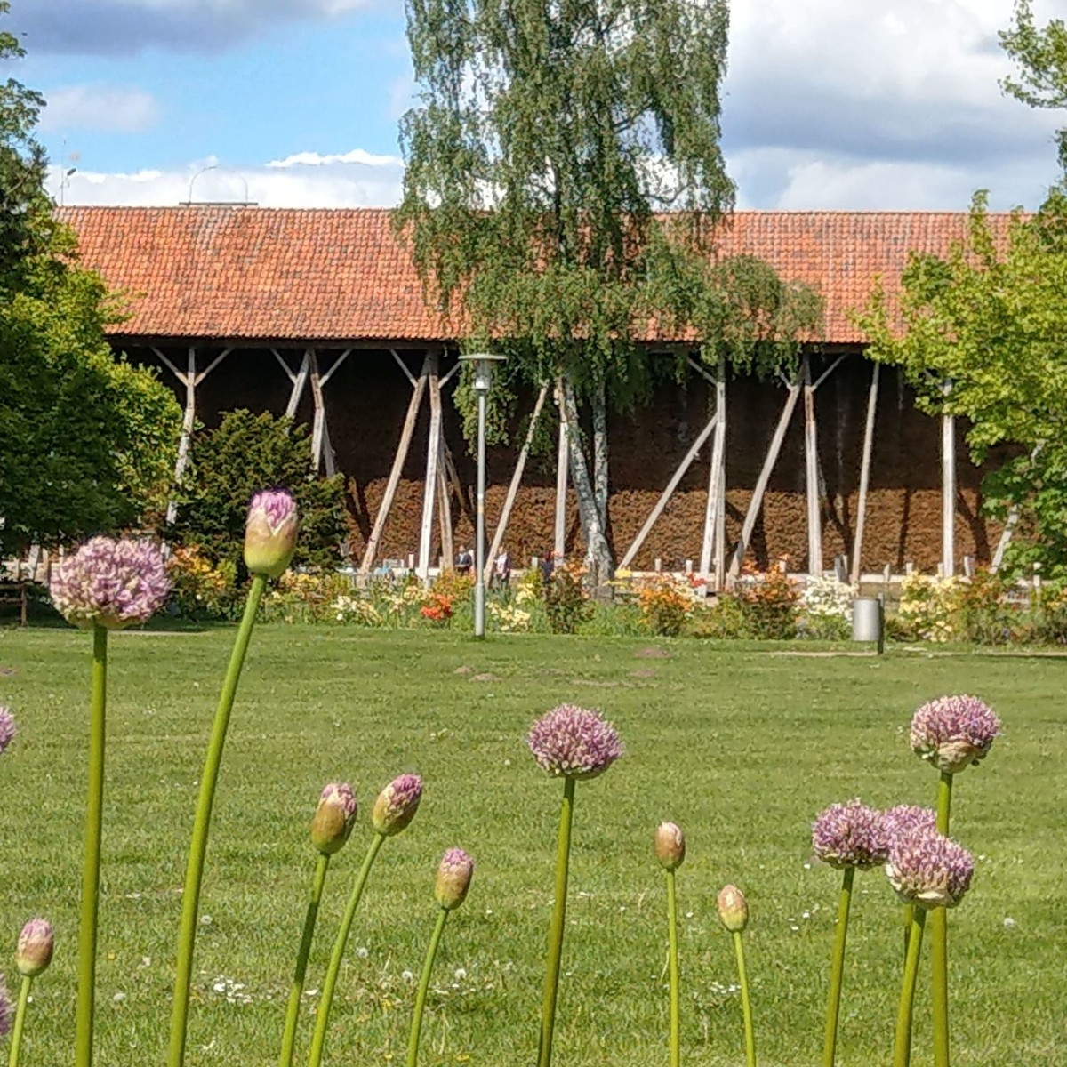 rheine-park-salinenpark-3