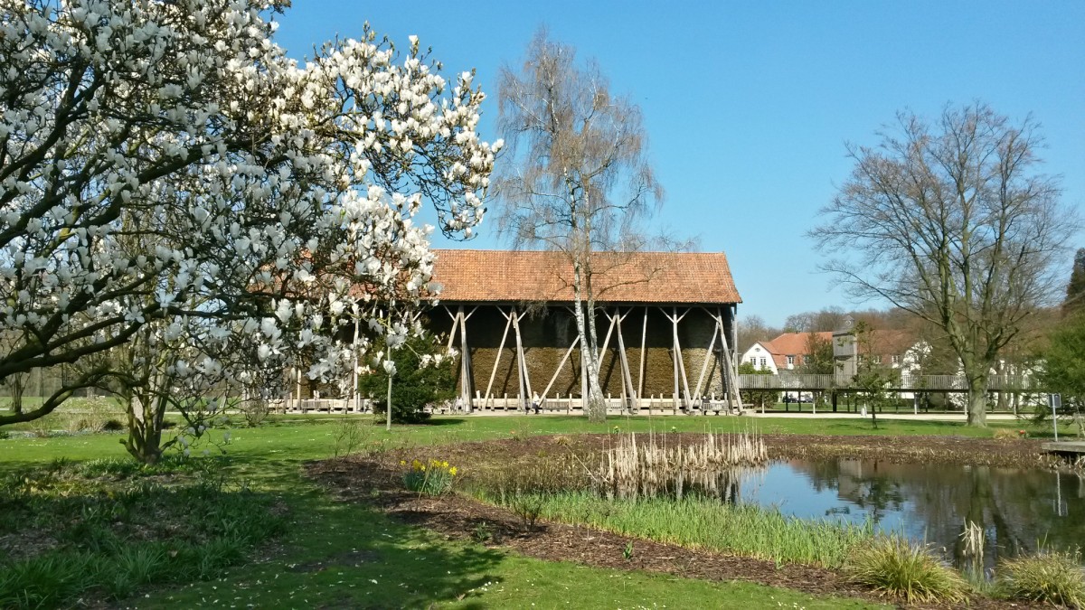 Rheine Salinenpark Frühling