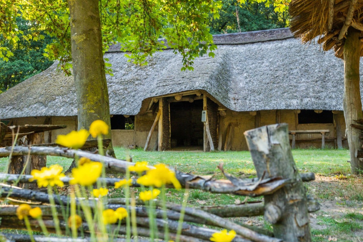 greven-museum-sachsenhof-01