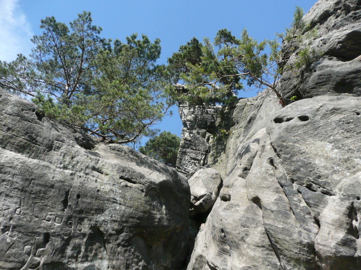 Felsformation Dörenther Klippen