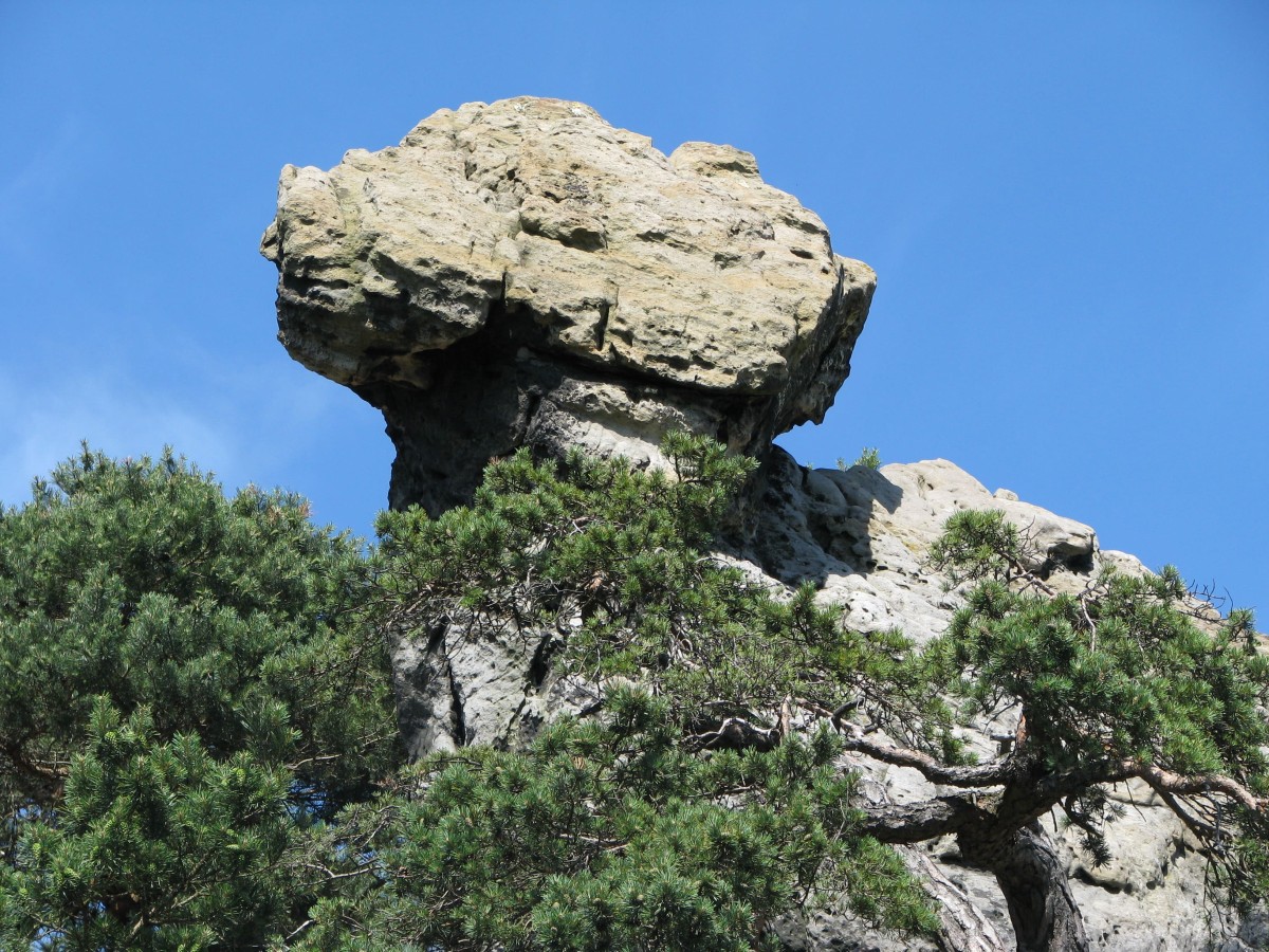 Das Hockende Weib der Dörenther Klippen in Ibbenbüren