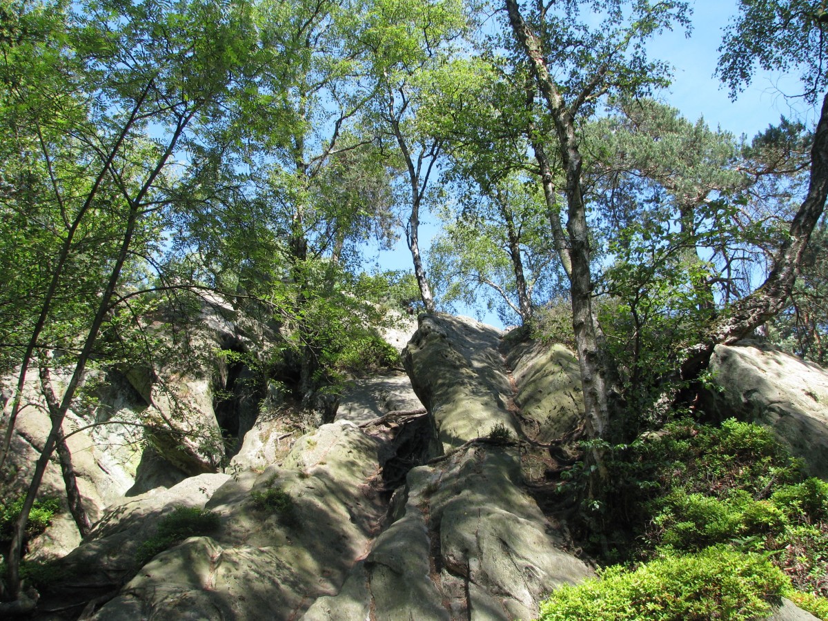 Die Felsformationen der Dörenther Klippen