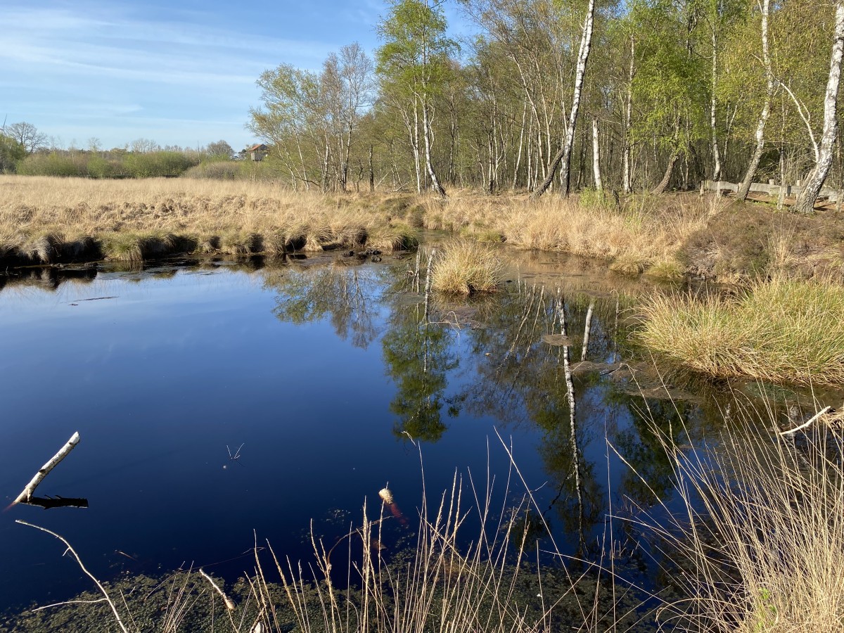 Emsdettener Venn Rundweg Erlebnispfad
