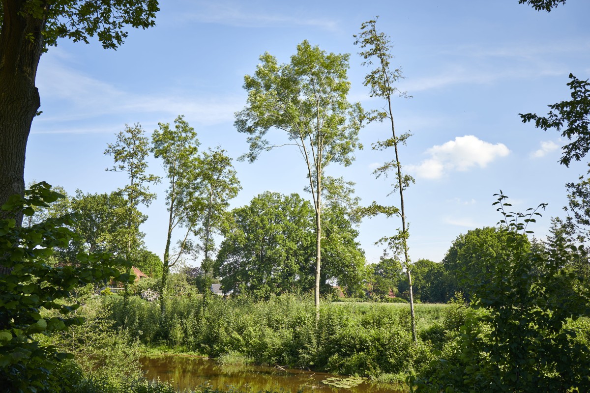 ladbergen-friedenspark-muehlenbach