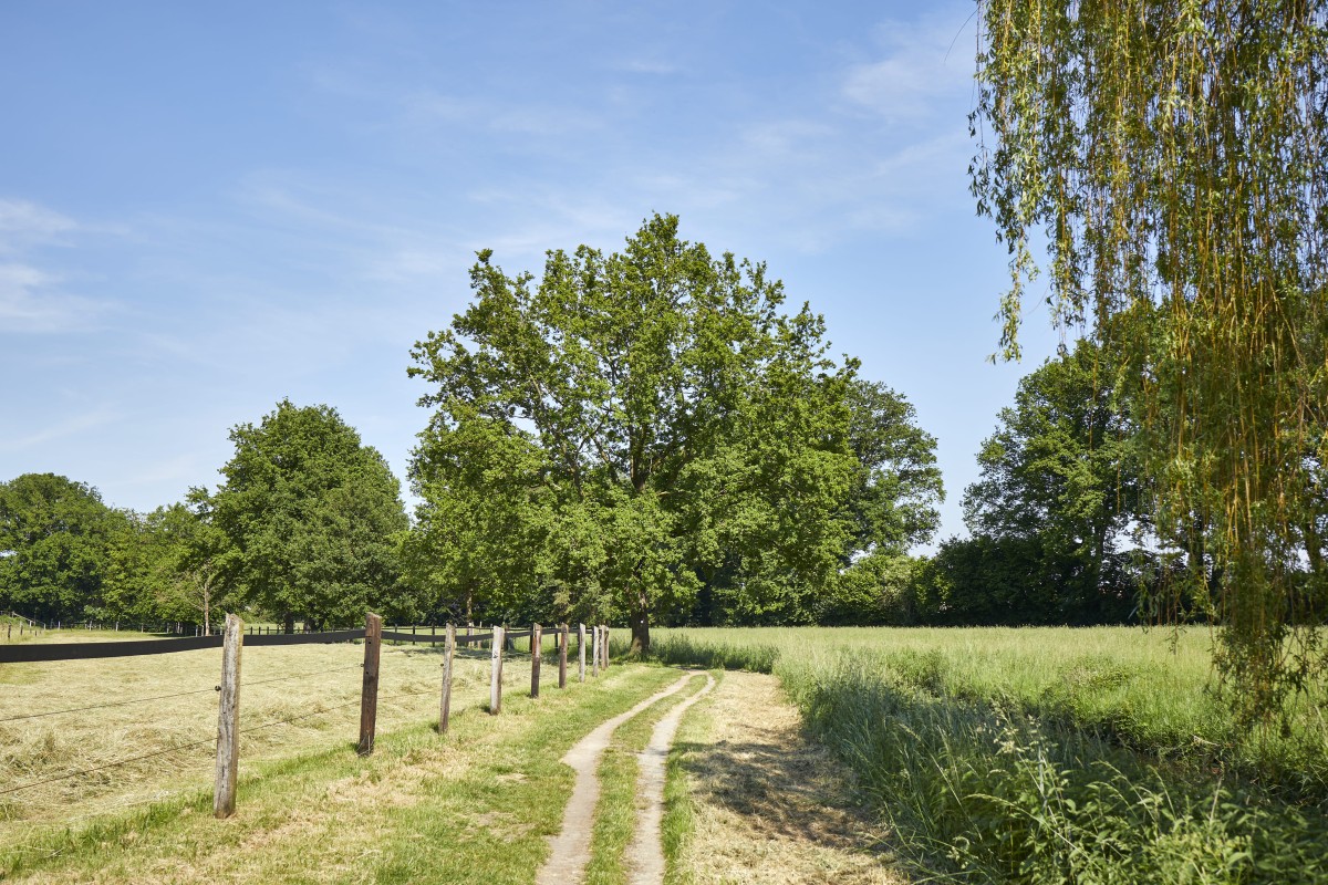 ladbergen-friedenspark-wege