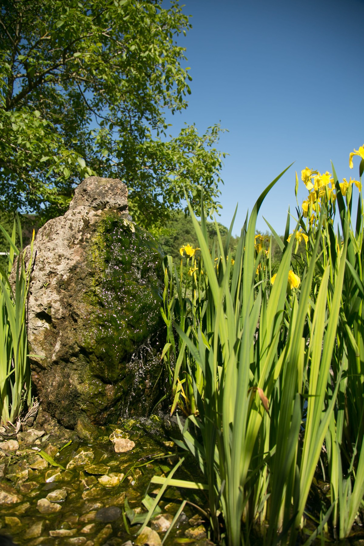 lengerich-alva-skulpturenpark