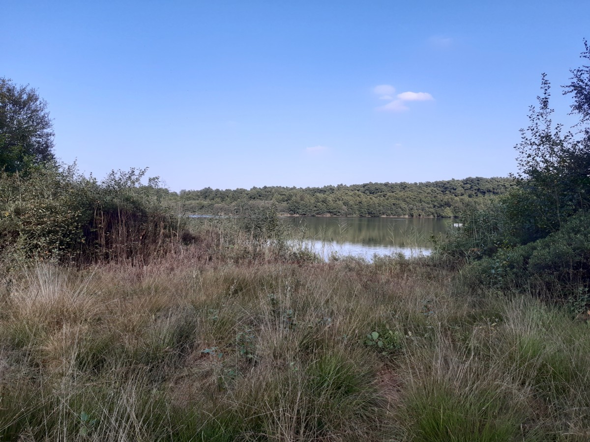 hopsten-heiliges-meer-natur