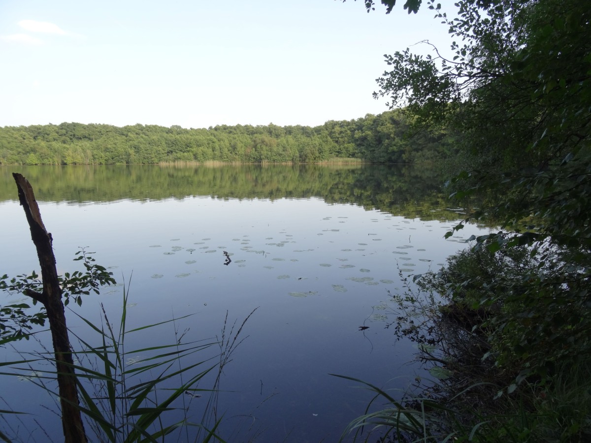 hopsten-heiliges-meer-natur