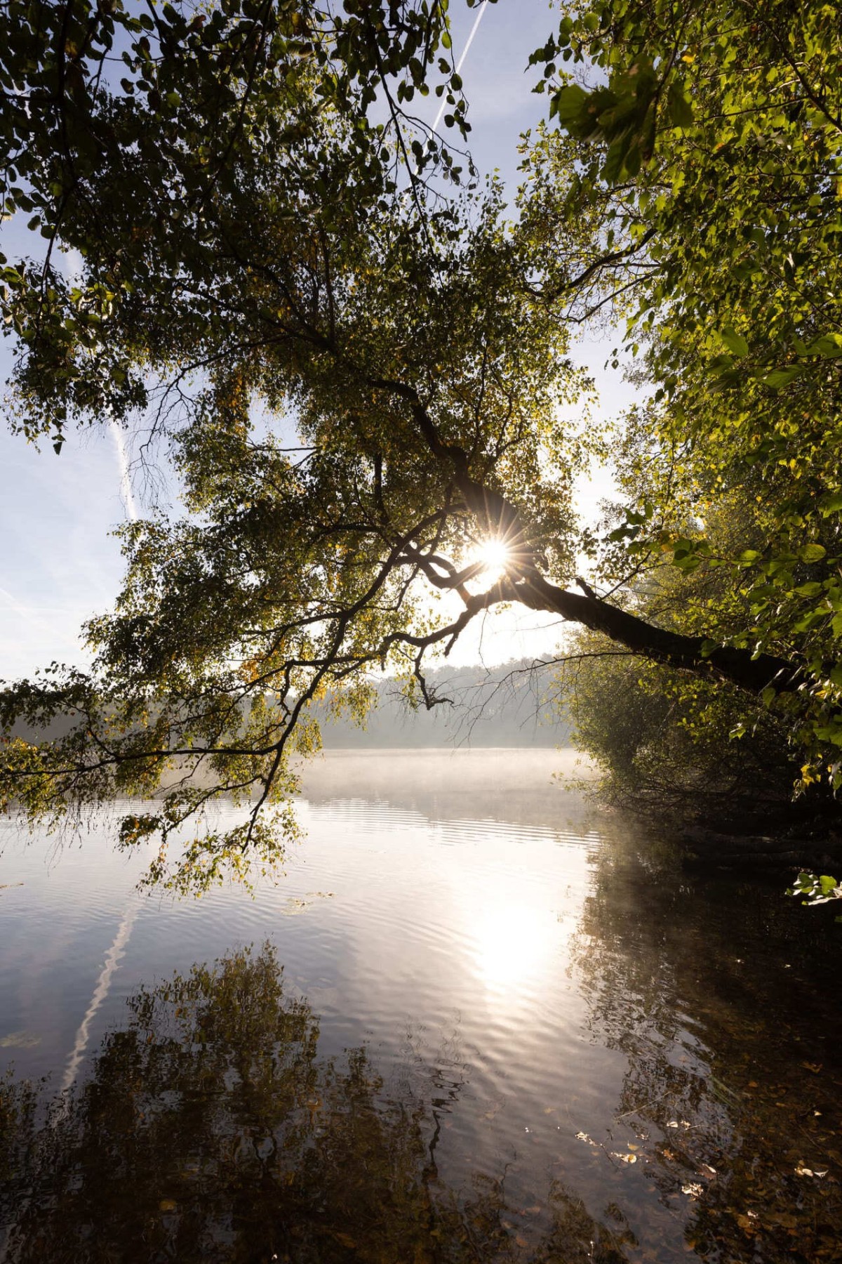 recke-naturschutzgebiet-heiliges-meer-01