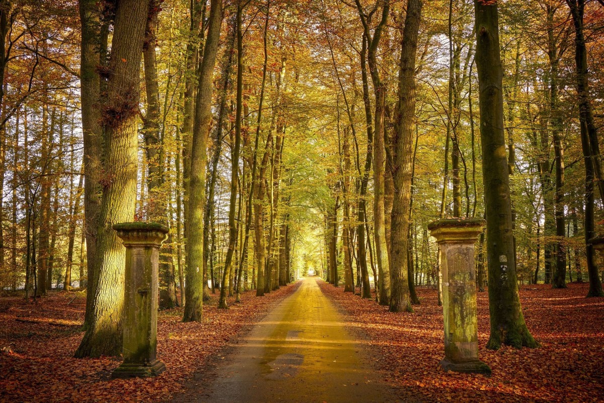 hoerstel-schloss-surenburg-landschaft