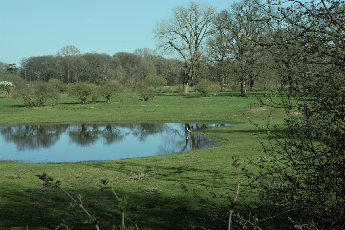 emsauen-landschaft-emsdetten