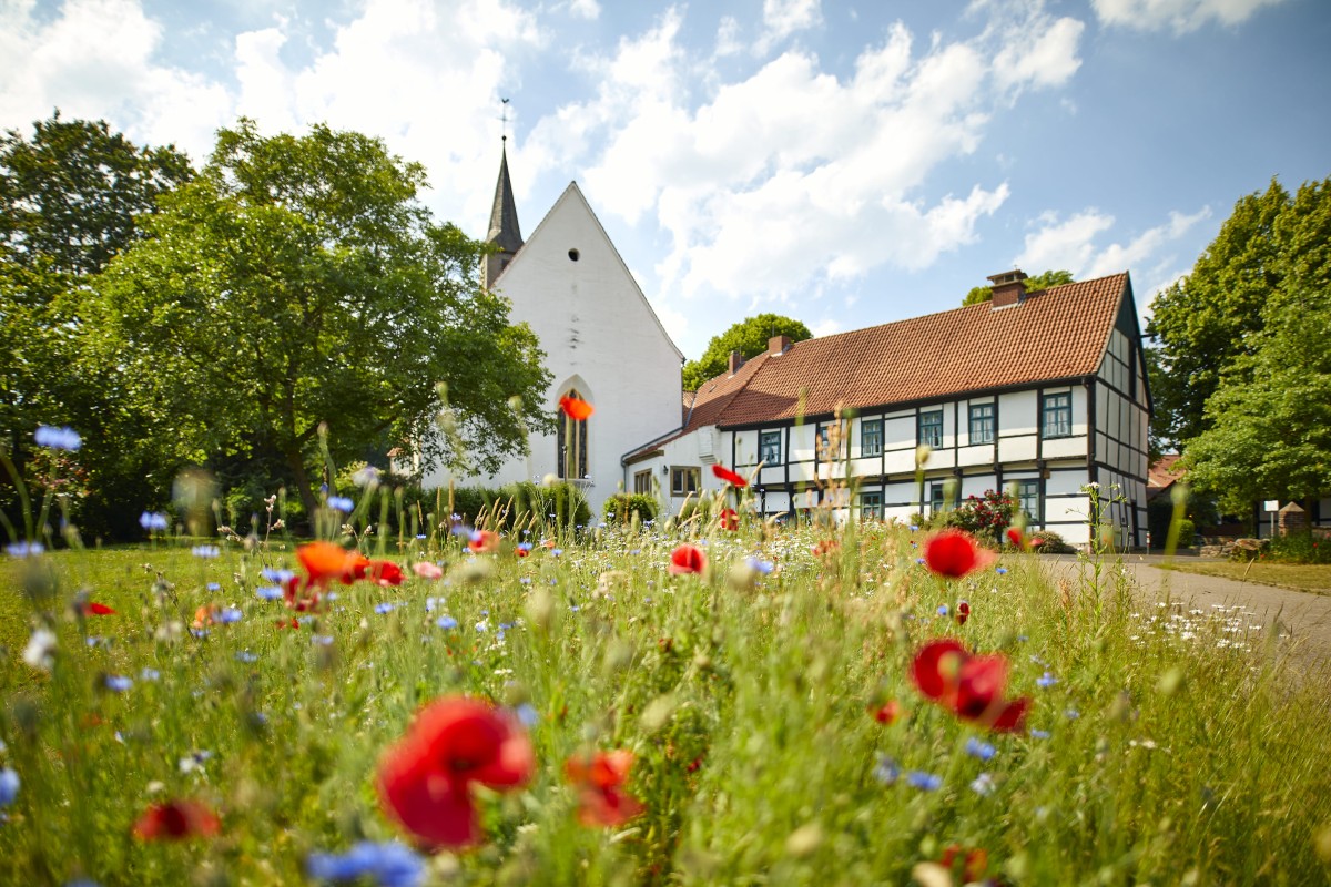tecklenburg-leeden-stift