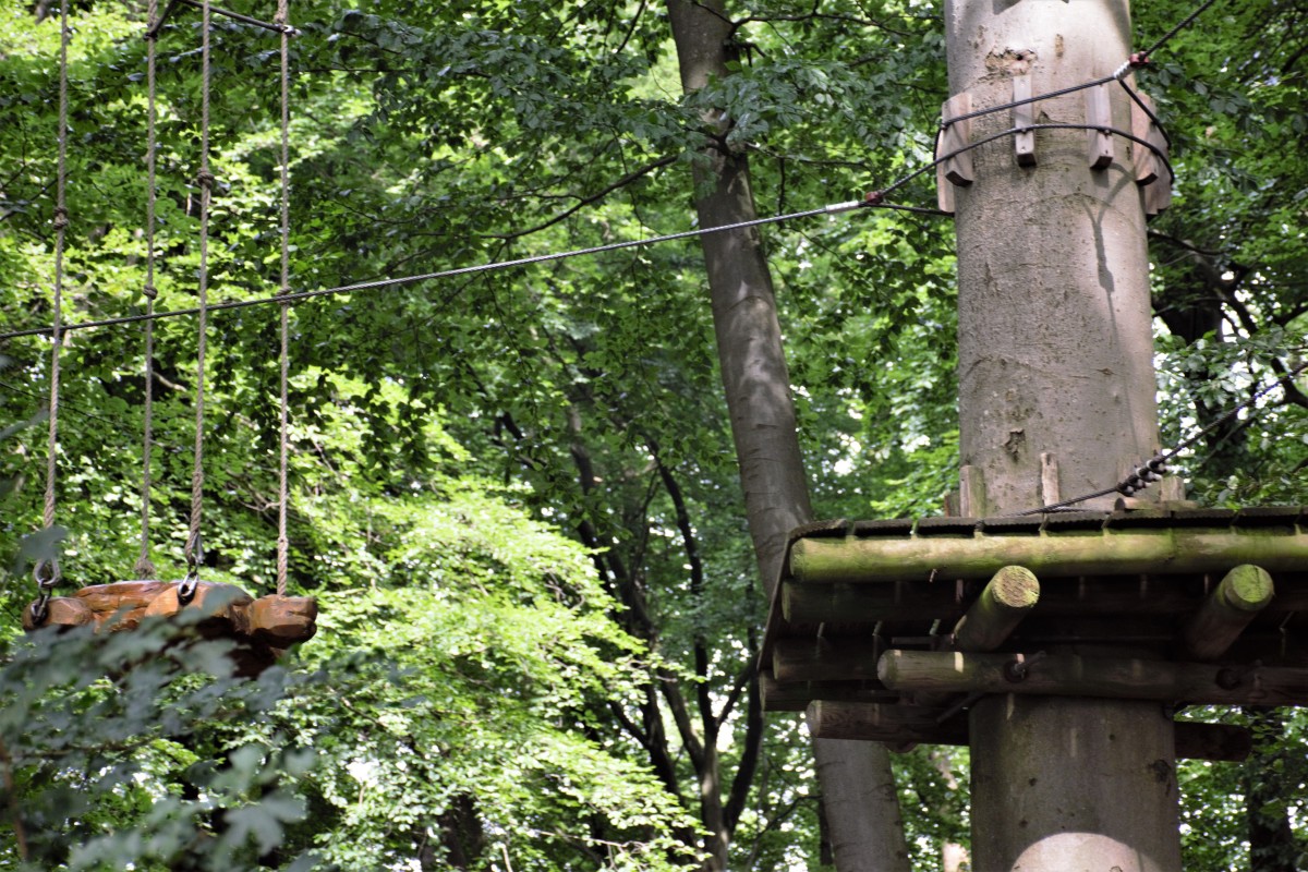 ibbenbueren-kletterwald
