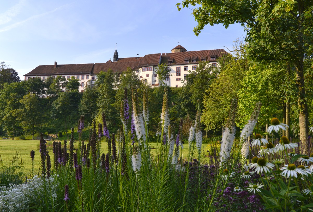 Wandern auf dem Hermannsweg