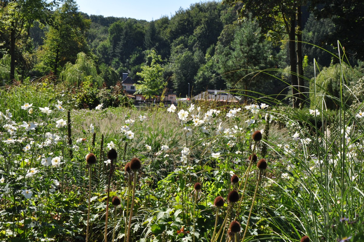 Wandern auf dem Hermannsweg