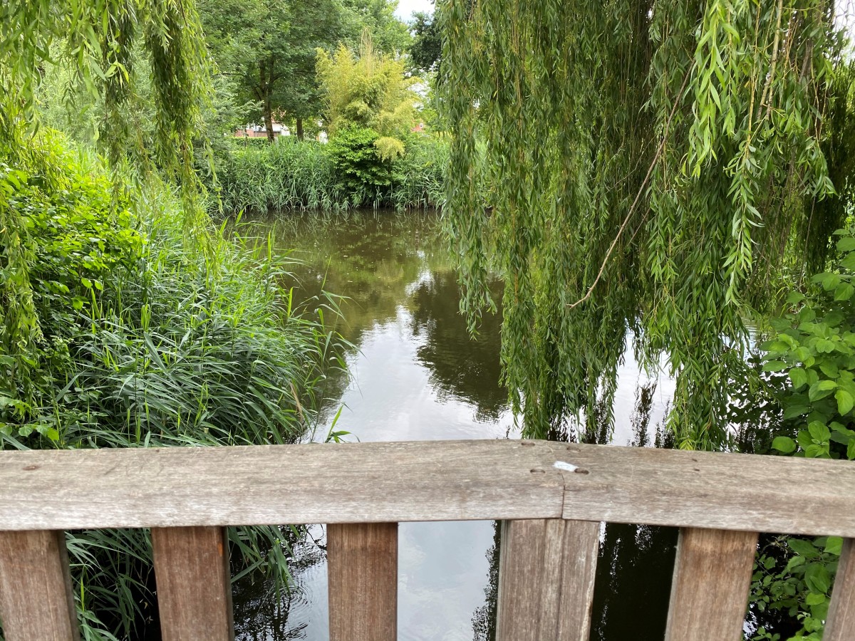 Gummiwiese Teich mit Geländer_CC_Hagen a.T.W..jpg