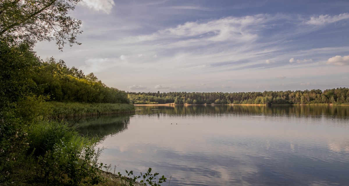 Niedringhaussee