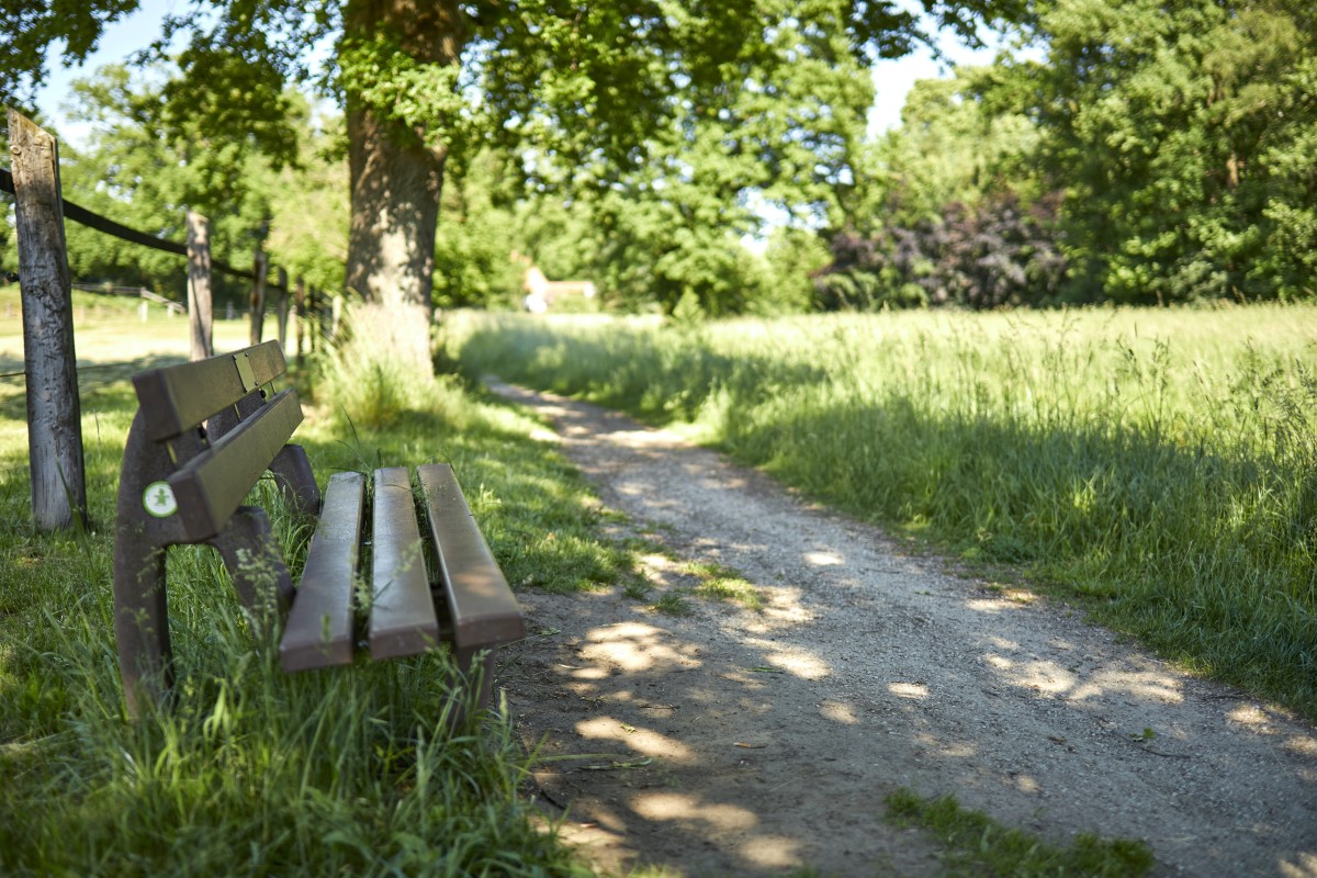 Bank im Friedenspark