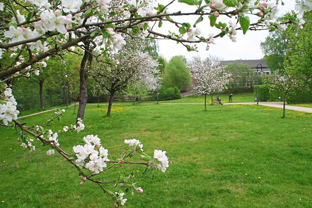 Frühling im Friedenspark
