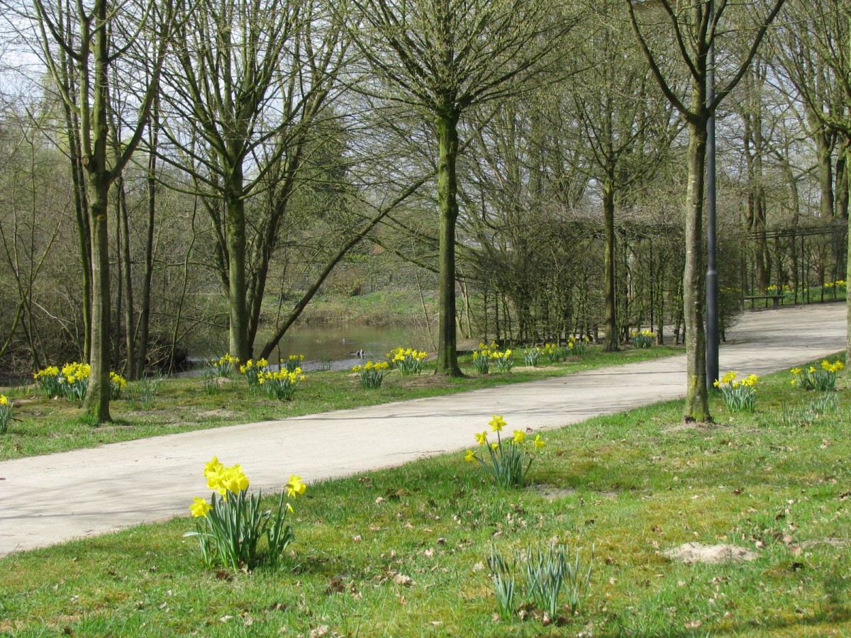 Weg im Friedenspark