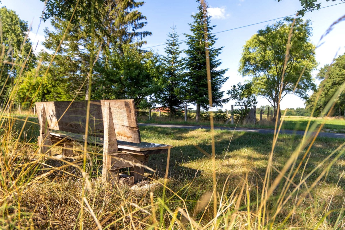 ladbergen-naturschutzgebiet-hoelter-feld-01
