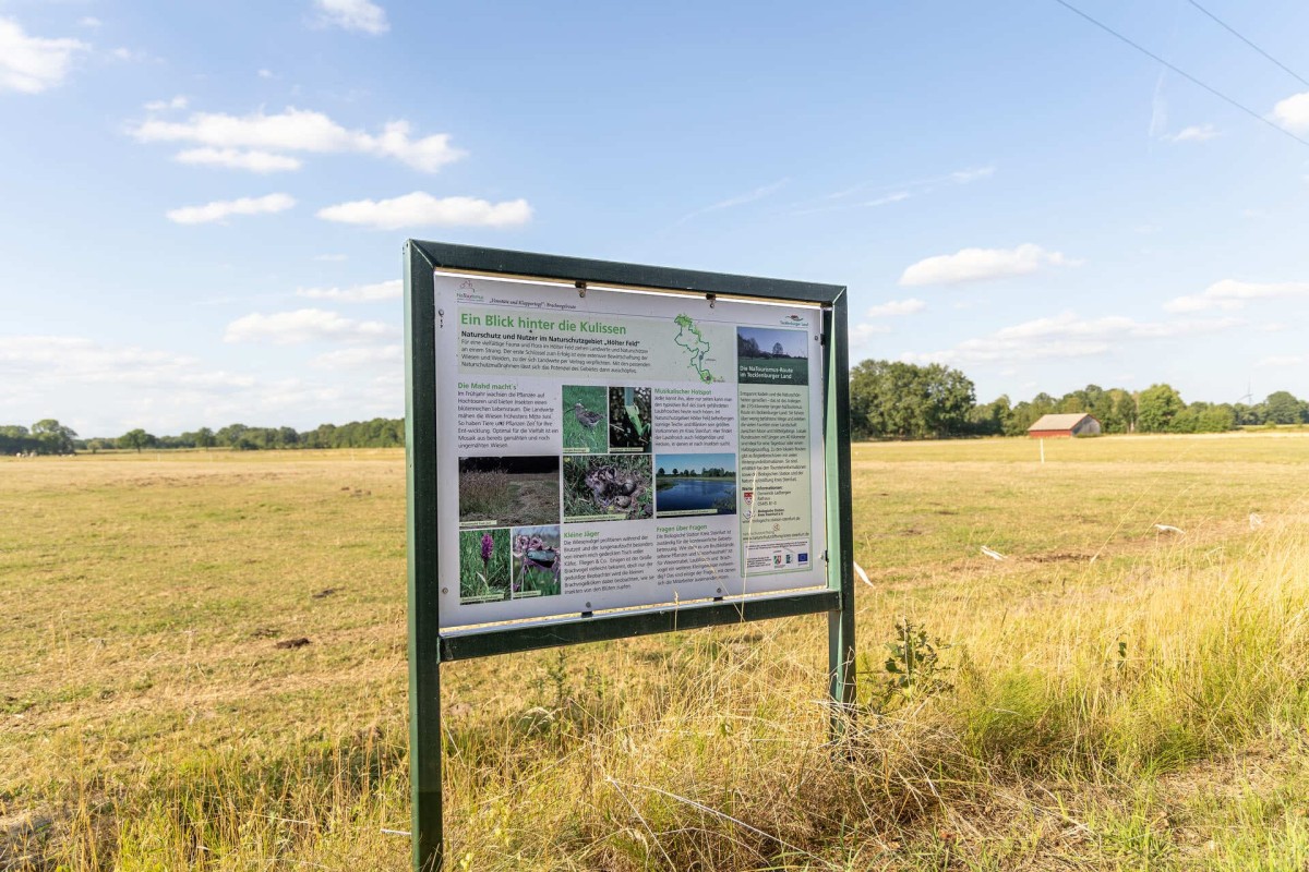 ladbergen-naturschutzgebiet-hoelter-feld-02