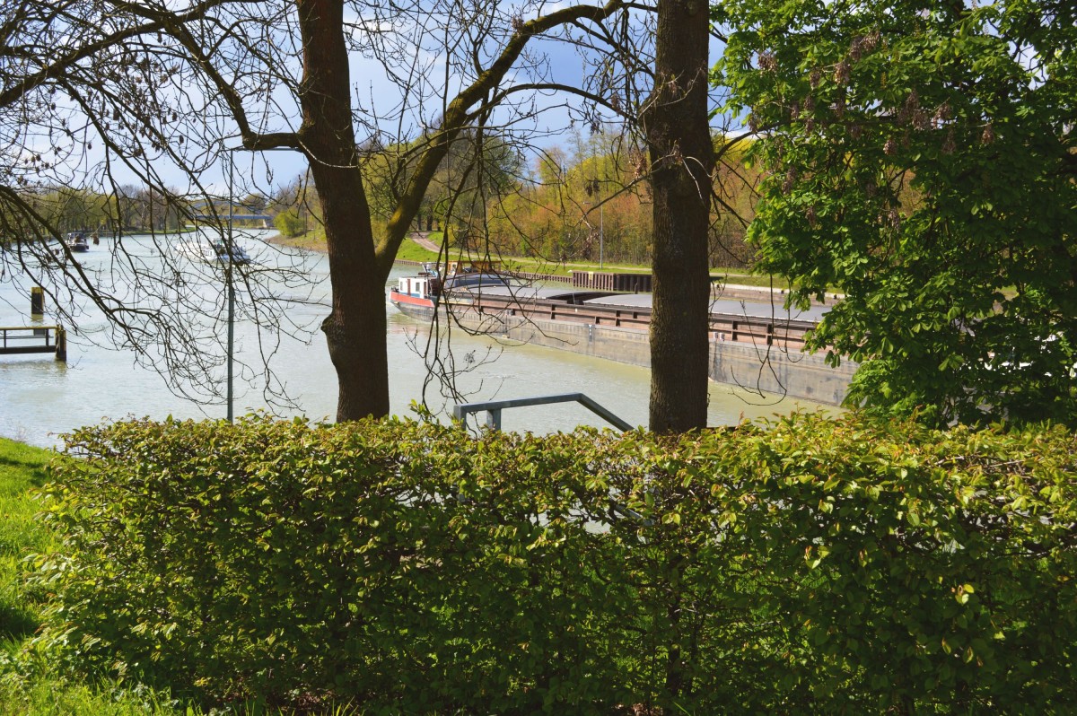 Nasses Dreieck_Hörstel_Teutoburger Wald Tourismus_Bohlken_.jpg