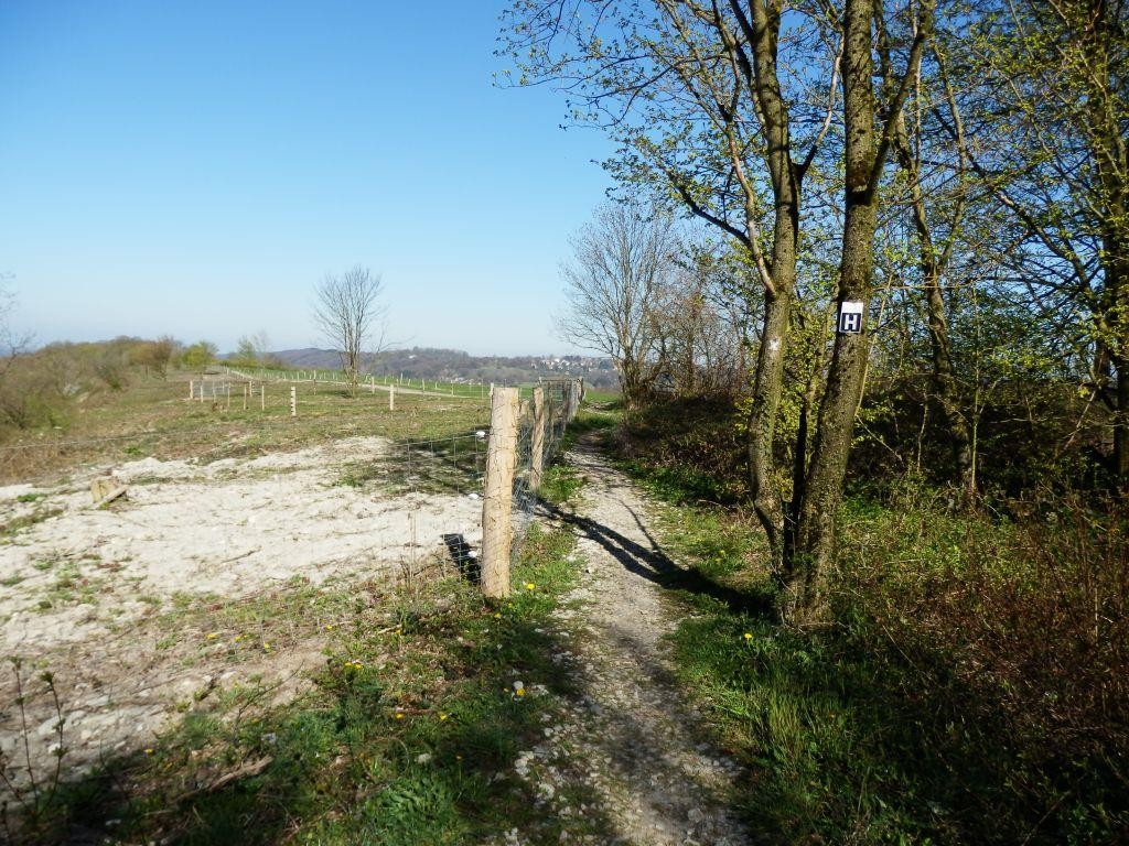 Aussicht vom Kleeberg zur Hochfläche