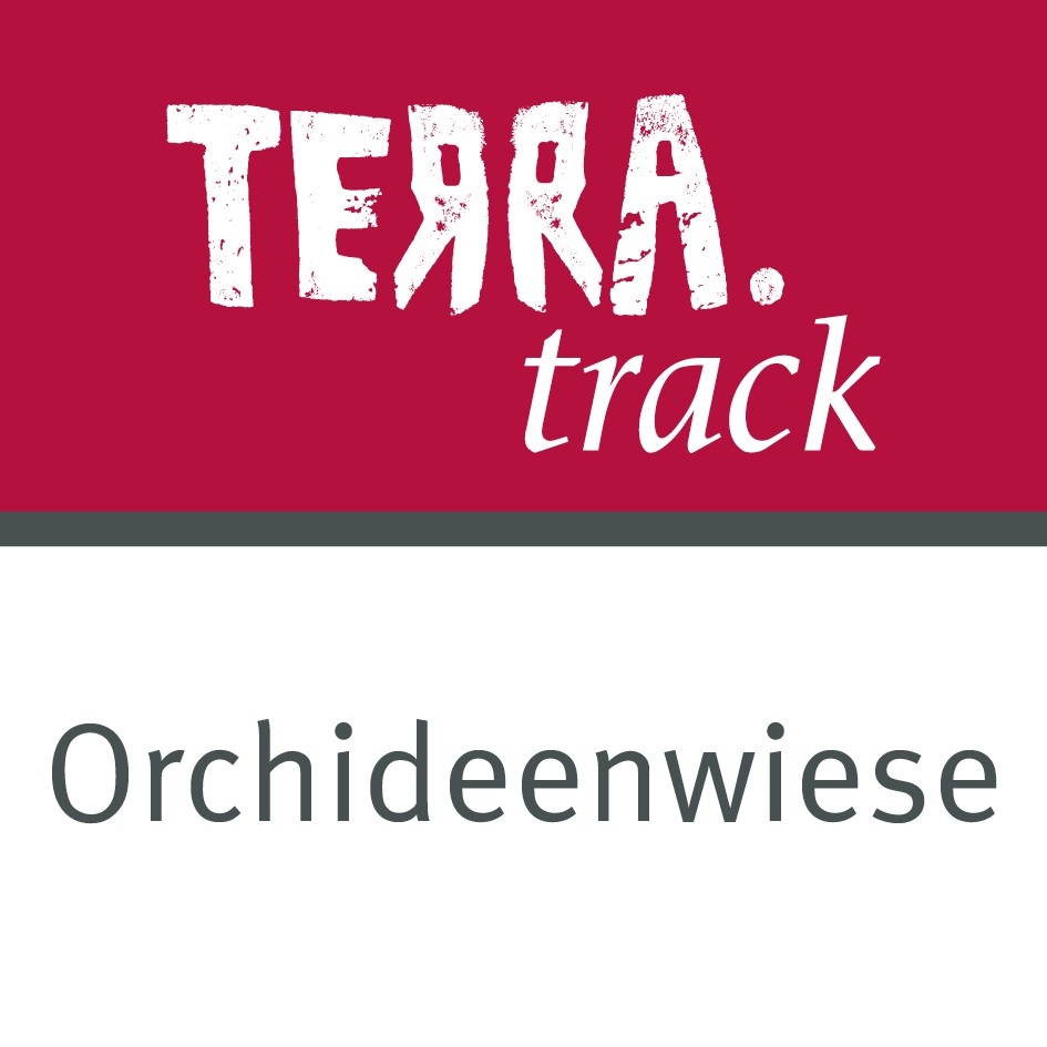 Logo TERRA.track Orchideenwiese