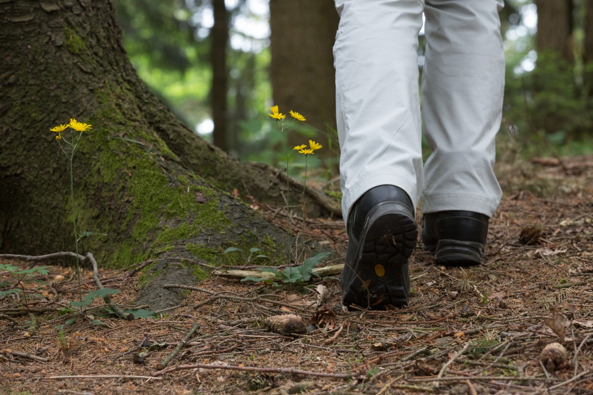 Wandern im Osnabrücker Land 