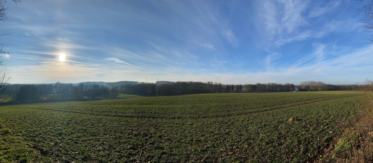 Wandern im Winter in Wallenhorst Hollage