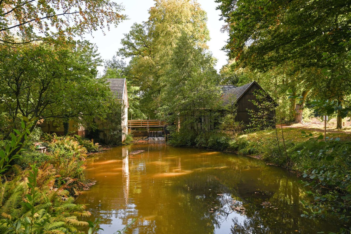 hoerstel-knollmanns-hoerstel-01