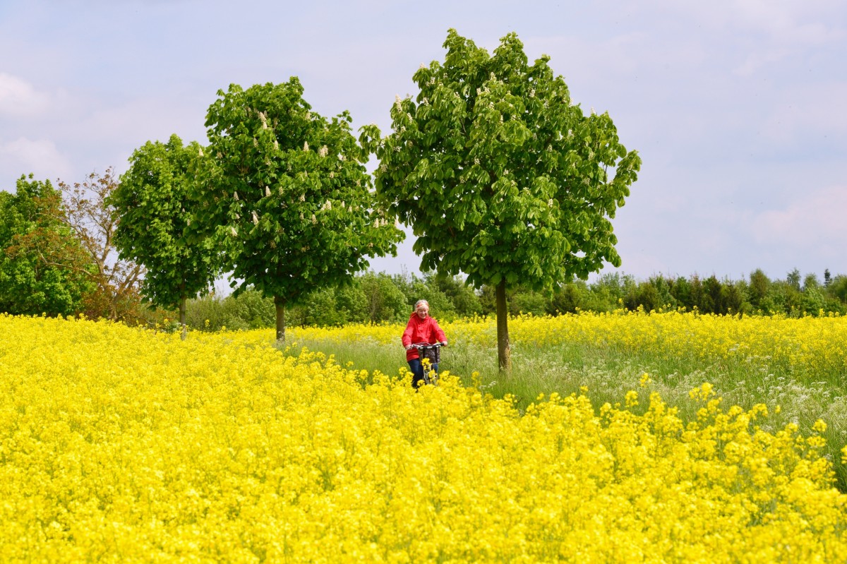 Radeln auf der Tour Rund um Voltlage