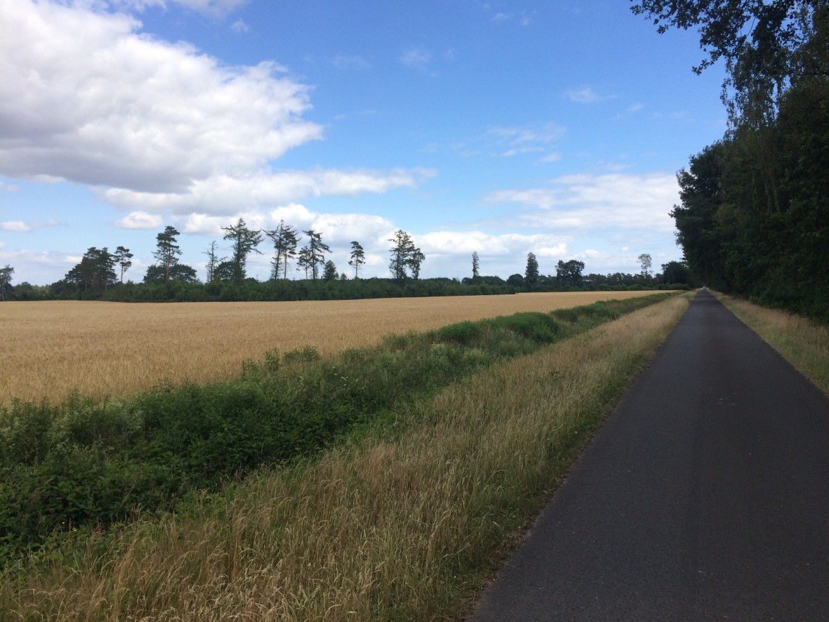Strecke auf der Radroute Wesentliches erfahren