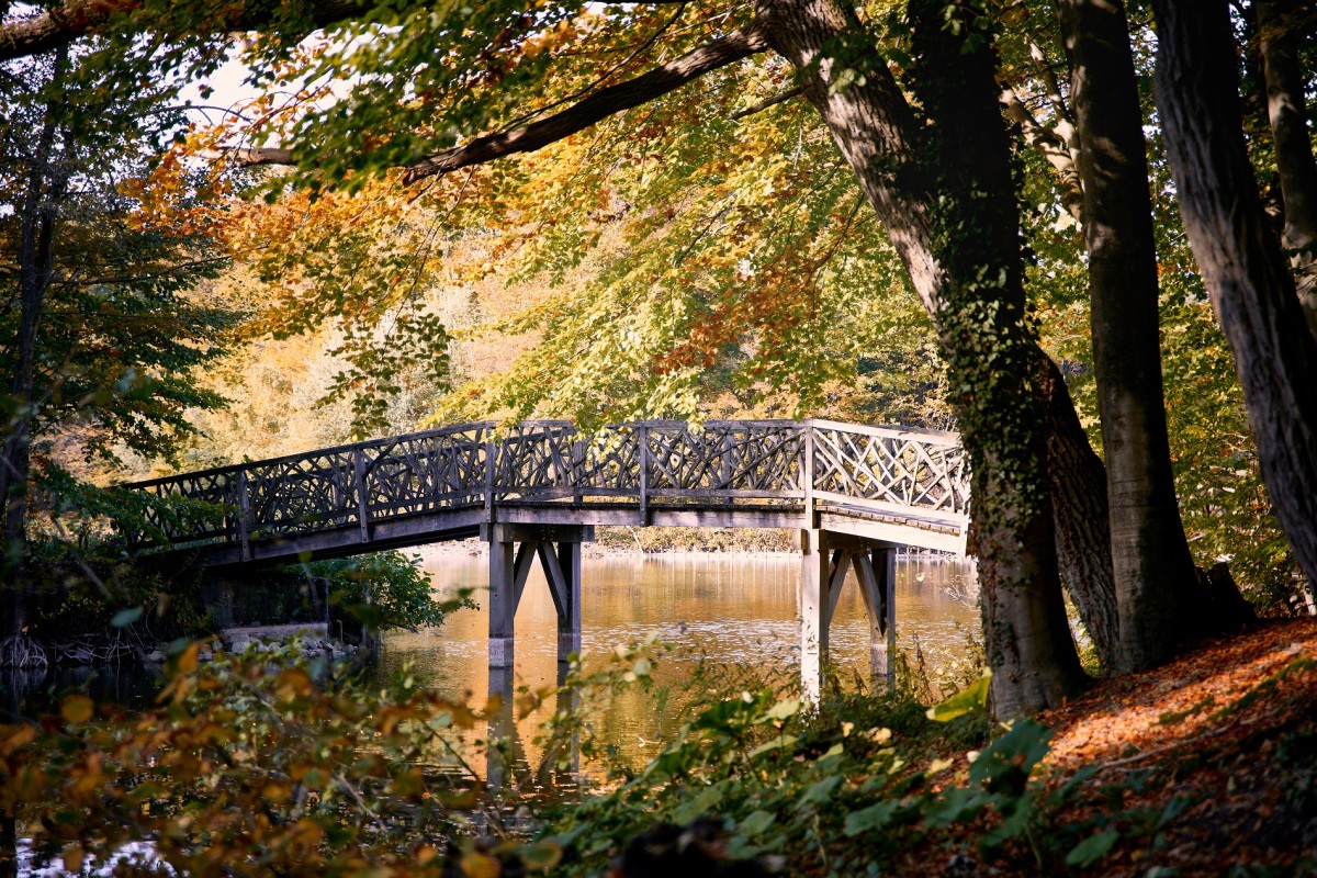 Bagno Park